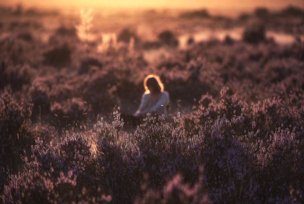 just.calluna